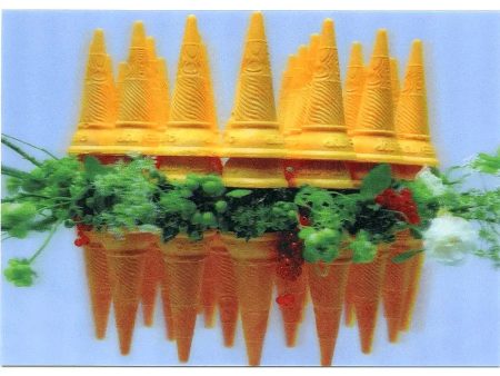 Flowers in between Ice Cream Cones - 3D Lenticular Postcard Greeting Card - NEW Hot on Sale