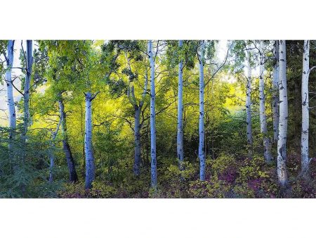 Forest Panorama - 3D Lenticular Oversize-Postcard Greeting Card - NEW Fashion