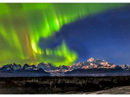 Denali and Aurora -  3D Lenticular Postcard Greeting Card - NEW Hot on Sale