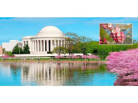 Jefferson Memorial Washington, D.C.- 3D Lenticular Oversize-Postcard Greeting Card- NEW on Sale