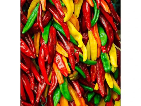 Chile Peppers - 3D Action Lenticular Postcard Greeting Card - NEW Hot on Sale