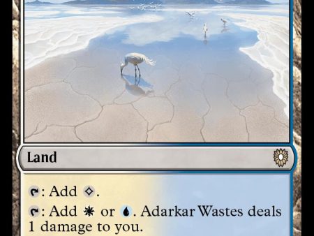 Adarkar Wastes [Bloomburrow Commander] Online Sale