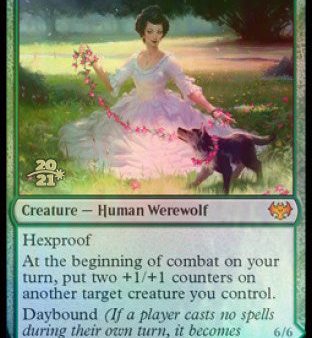 Avabruck Caretaker    Hollowhenge Huntmaster [Innistrad: Crimson Vow Prerelease Promos] For Sale