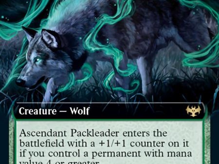 Ascendant Packleader (Extended Art) [Innistrad: Crimson Vow] For Cheap