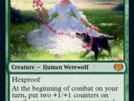 Avabruck Caretaker    Hollowhenge Huntmaster [Innistrad: Crimson Vow] Online