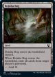 Bojuka Bog [Innistrad: Midnight Hunt Commander] on Sale